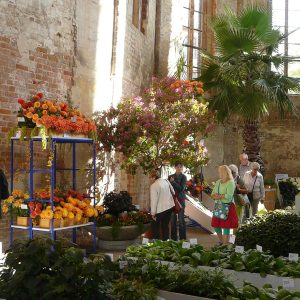 BUGA Havelland 2015, Hallenschau