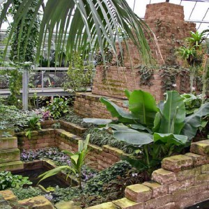 exotische Pflanzen und Naturstein