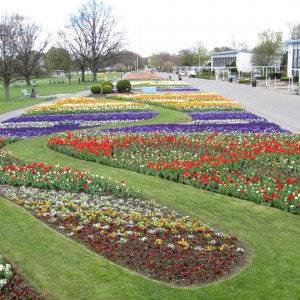 Wechselflor: Großes Blumenbeet ega Erfurt