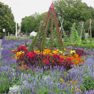 ega Erfurt, Großes Blumenbeet, Sommer 2017