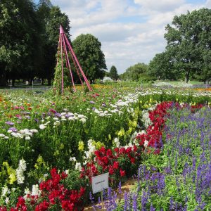 ega Erfurt, Großes Blumenbeet, Sommer 2017