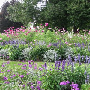 ega Erfurt, Großes Blumenbeet, Sommer 2017