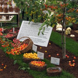Bundesgartenschau Koblenz 2011 Hallenschau