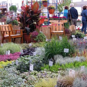 Bundesgartenschau Koblenz 2011 Hallenschau