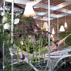 ega Erfurt – Orchideenschau 2011