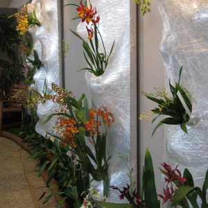 ega Erfurt – Orchideenschau 2011