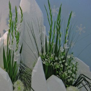 ega Erfurt - Sommerhallenschau 2010
