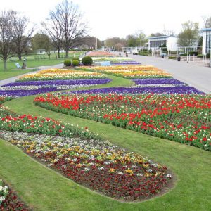 ega Erfurt, Großes Blumenbeet, Frühjahr 2012