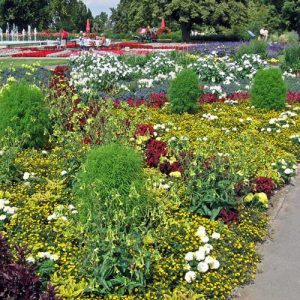 ega Erfurt, Großes Blumenbeet, Sommer 2009