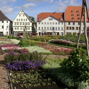 Entente florale 2008 - Hirschgarten Erfurt