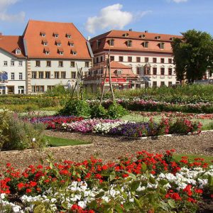 Entente florale 2008 - Hirschgarten Erfurt