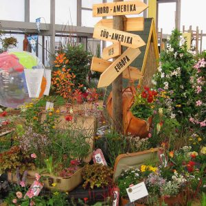 igs Hamburg 2013 – Hallenschau