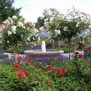 Bibliotheks- und Museumsgarten Sömmerda